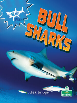 cover image of Bull Sharks